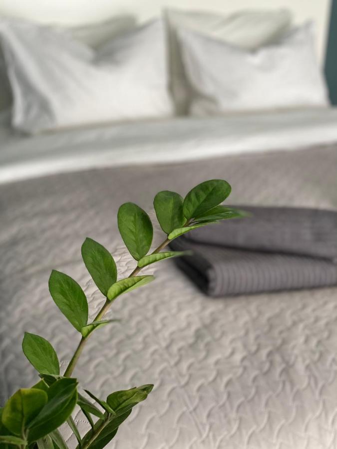 City Ocean Apartment Dyneburg Zewnętrze zdjęcie